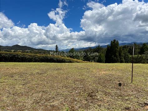 Venta De Lote O Casalote En Alto De Las Palmas Envigado M