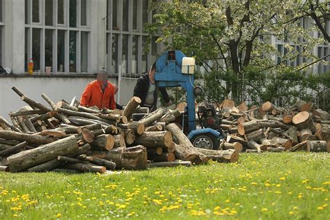 Detalji stravične tragedije Nesrećnog dječaka cjepač na očevom