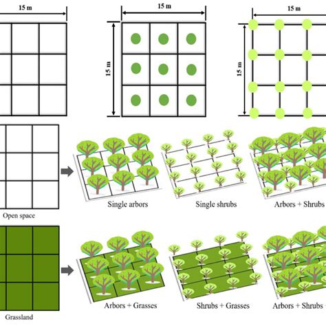 Various Spatial Structures Under Modular Plant Configuration