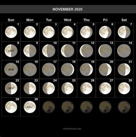 November Moon Calendar - Printable Word Searches