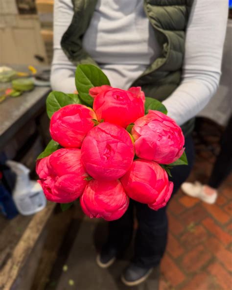 Florists explain the seasonal growth of valley forge flowers today 12