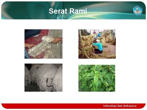 Identifikasi Serat Tekstil Teknik Penyempurnaan Tekstil Smkn 3