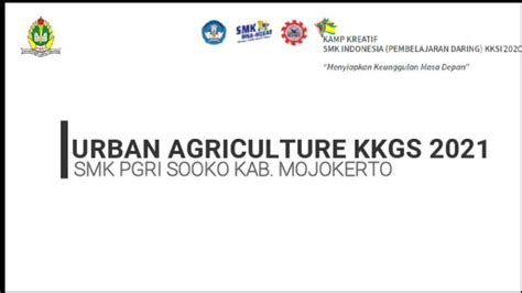 Kkgsi Urban Agriculture Tanaman Tomat Cherry Hidroponik Dengan