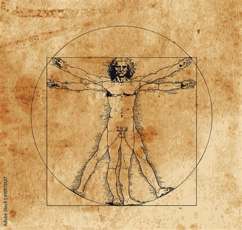 vitruvian man Stock Illustration | Adobe Stock