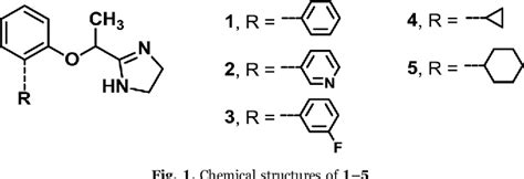 Figure 1 From Synergic Stimulation Of Serotonin 5‐ht1a Receptor And And2