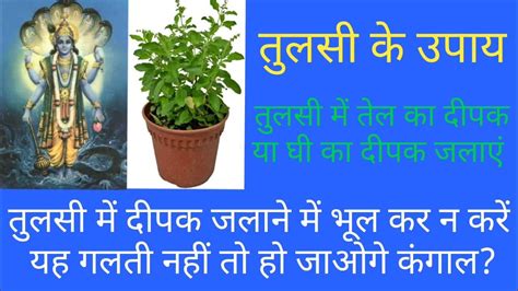 Tulsi Ke Upay Tulsi Me Deepak Jalane Ki Vidhi तुलसी के उपाय