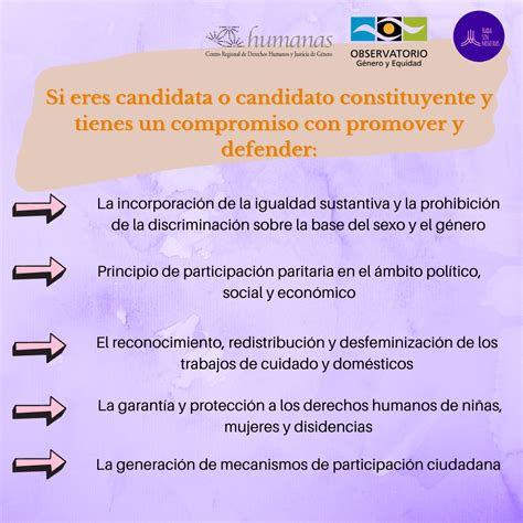 Un Centenar De Candidaturas Se Suman A Las Propuestas Feministas Para El Proceso Constituyente