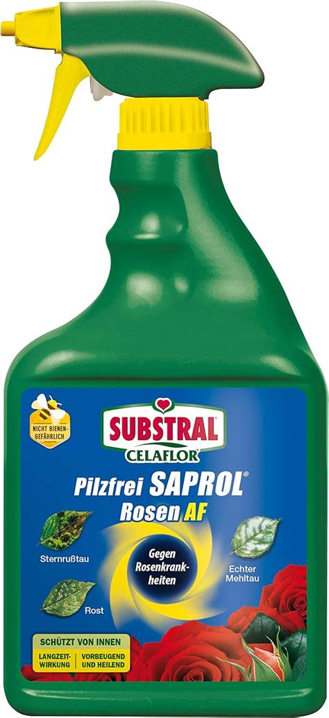 Substral Celaflor Pilzfrei Saprol Rosen Af Anwendungsfertiges Spray