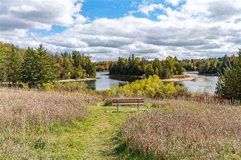 Vicki Barron Lakeside Trail At Island Lake Conservation Area In