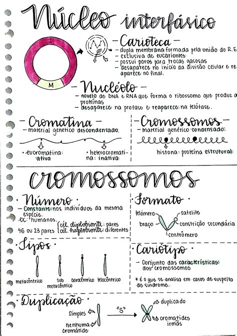 Resumo Sobre Citologia N Cleo Biologia Estuda Enem