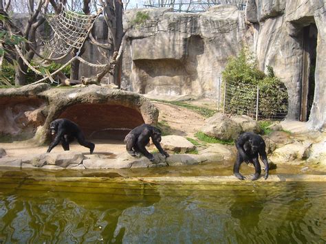 Barcelona Zoo 2 for 1 or discount vouchers - ShBarcelona