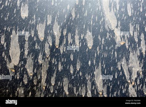 Abstract Painting Falling Space Objects Actually The Mud Splashes
