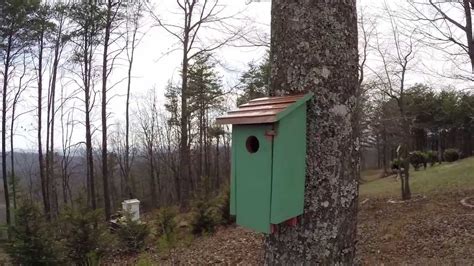 Bluebird House - Weatherproofing and Hanging Tips - YouTube