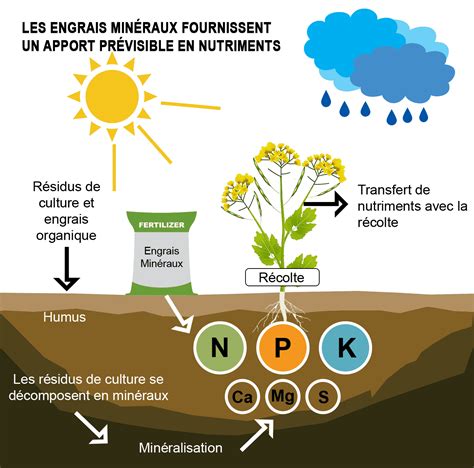 JOURNÉE MONDIALE DES ENGRAIS 2021 LEPICARD Agriculture