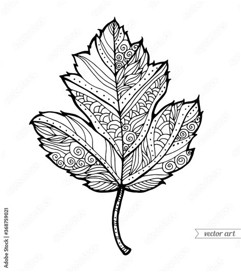 Single autumn leaf. Hand drawn artwork. Zentangle, doodle, tattoo. Woodcut style. Coloring book ...