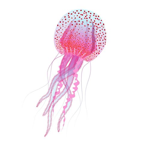 Premium Vector Jellyfish Isolated On White Background Vector Illustration