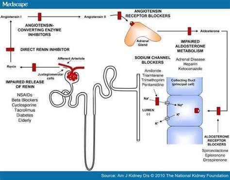 Sign in to Twitter | Hyperkalemia, Adrenal disease, Nursing school notes