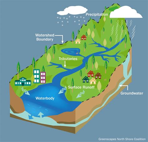 Solved 1describe Watershed Is And What Watershed Processes Are