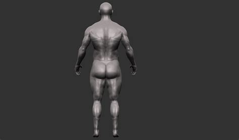 Anatomy Critique Needed Polycount