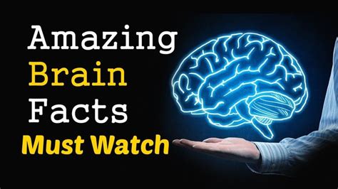 30 Amazing Brain Facts I The Most Amazing Facts About The Human Brain