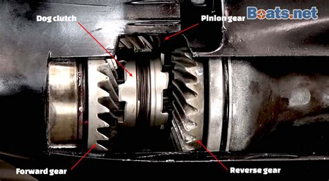 Inboard And Outboard Motor Bearings Infoupdate Org