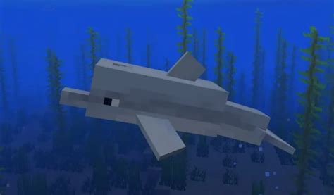 Que Mangent Les Dauphins Dans Minecraft