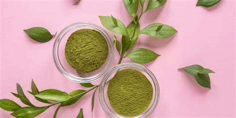 Top Of The Very Best Matcha Green Tea Powder In