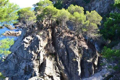 Fotos gratis paisaje mar árbol naturaleza desierto sendero