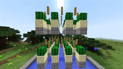 Minecraft Cactus Farm Layout