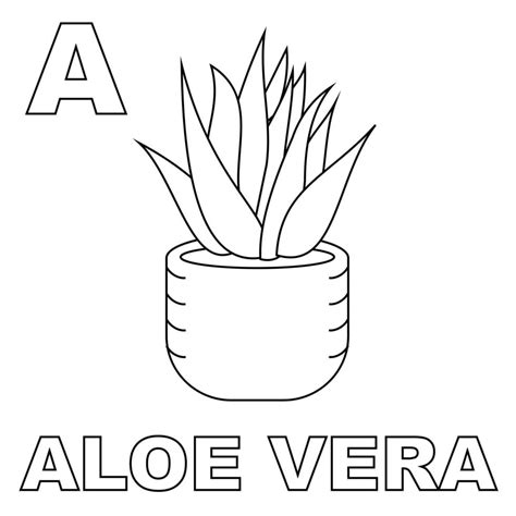 Dibujo Para Colorear Aloe Vera Dibujos Para Imprimir Gratis Img Hot