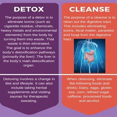 Learn The Difference Between A Body Detox And A Body Cleanse Cleanse