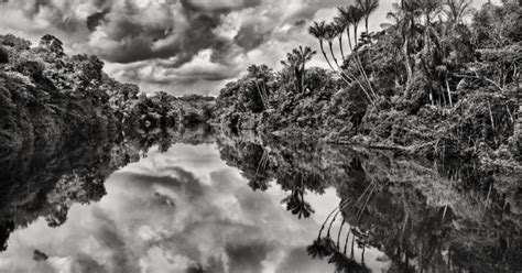 Sebastião Salgado Jaú River Jaú National Park State of Amazonas