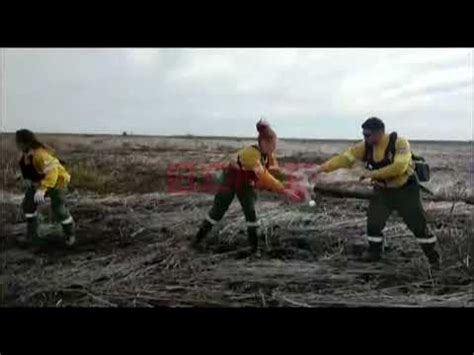 La Labor De Los Brigadistas Para Combatir El Fuego En Islas Del Delta