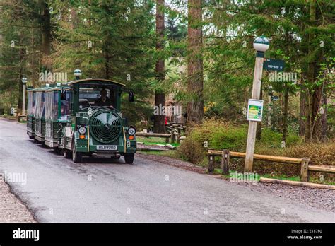 The Land Train At Center Parcs Longleat Wiltshire England United