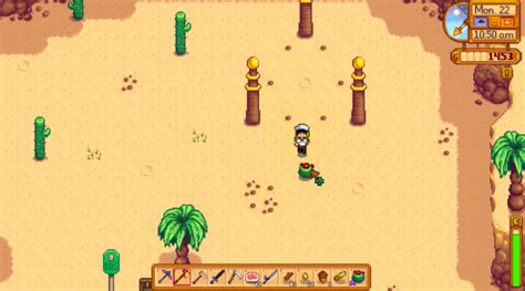 Stardew Valley Cactus Fruit Guide [2023]