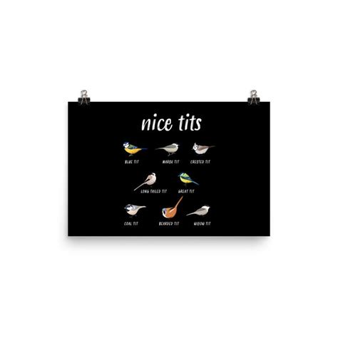 Nice Tits Funny Bird Watching Poster Gift For Birder Men And Etsy