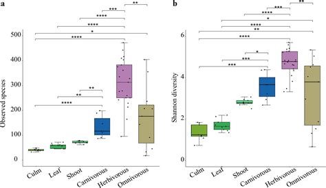 Functional responses of giant panda gut microbiota to high-fiber diets