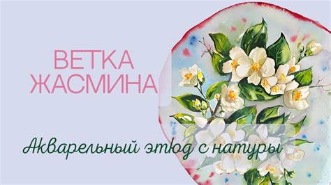 Ветка жасмина. Акварельный скетч с натуры/ Jasmine Branch watercolor ...