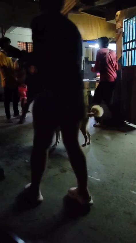 Pag Ayaw Tumagay Wag Nyong Pilitin Wag Pilitin Kung Ayaw Tumagay By