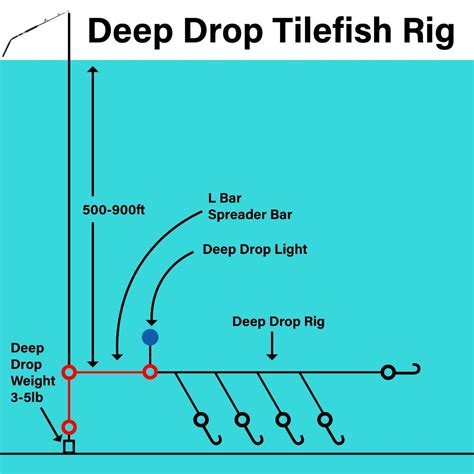 Deep Drop Fishing