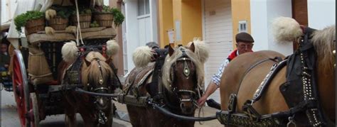 Tres Tombs A Vilassar De Mar La Clau Revista Gratu Ta Del Maresme