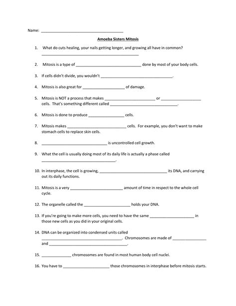 Amoeba Sisters Meiosis Worksheet Answer Key - Printable Word Searches