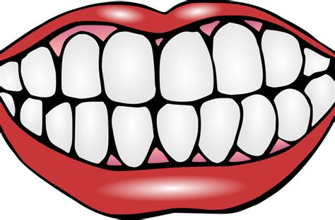 Stunning Clip Art Tooth Mouth With Teeth Clipart Free Cartoon Image