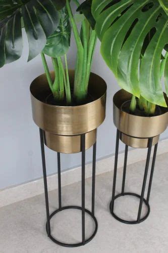 Tall Metal Planters with Stand for Living Room, Size: 2.3 Feet at Rs ...