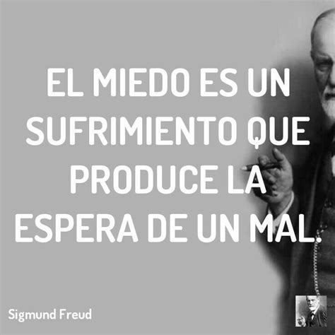 Pin De Niina Canillas En Hermosas Flores Sigmund Freud Frases