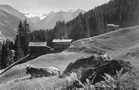 Blick Richtung Silvretta Klosters Prättigau Foto Furter Davos