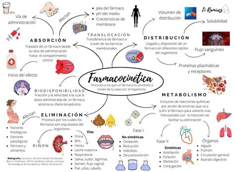 Farmacolog A Udocz