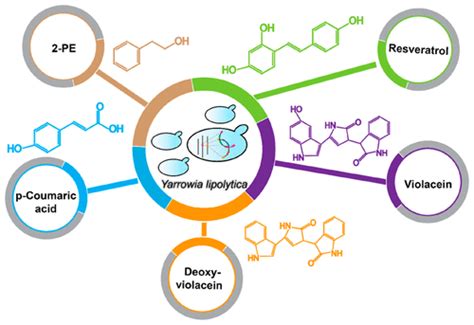 Engineering Yarrowia Lipolytica As A Chassis For De Novo Synthesis Of