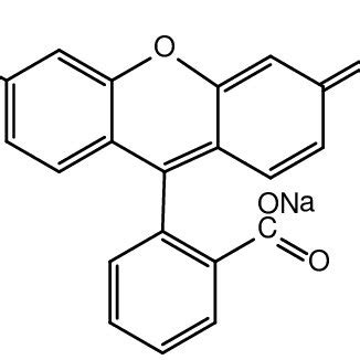 Effect of iodate ion on the quenching of fluorescence by I 2 for I --IO ...