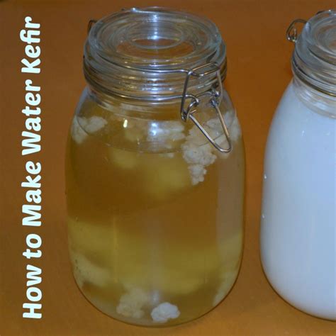 How To Make Water Kefir With Milk Kefir Grains Northern Homestead